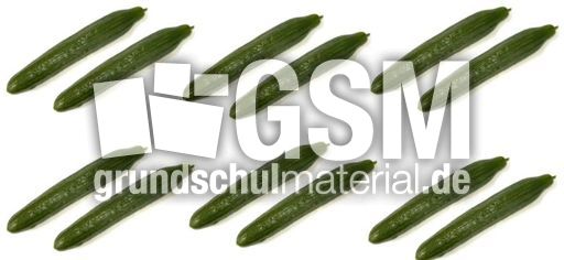 Gurke-6x2.jpg